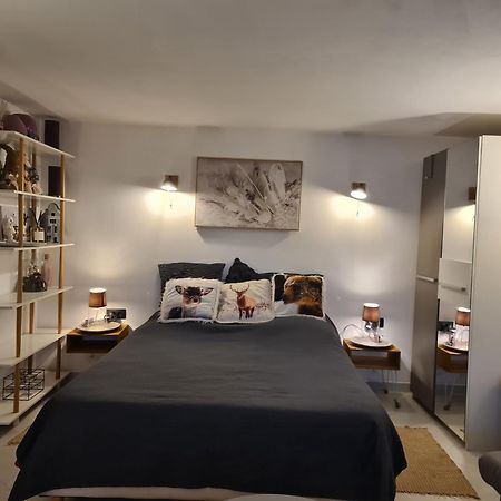 35M2 Hauts D'Albertville Terrasse Avec Vue Pallud Exterior photo