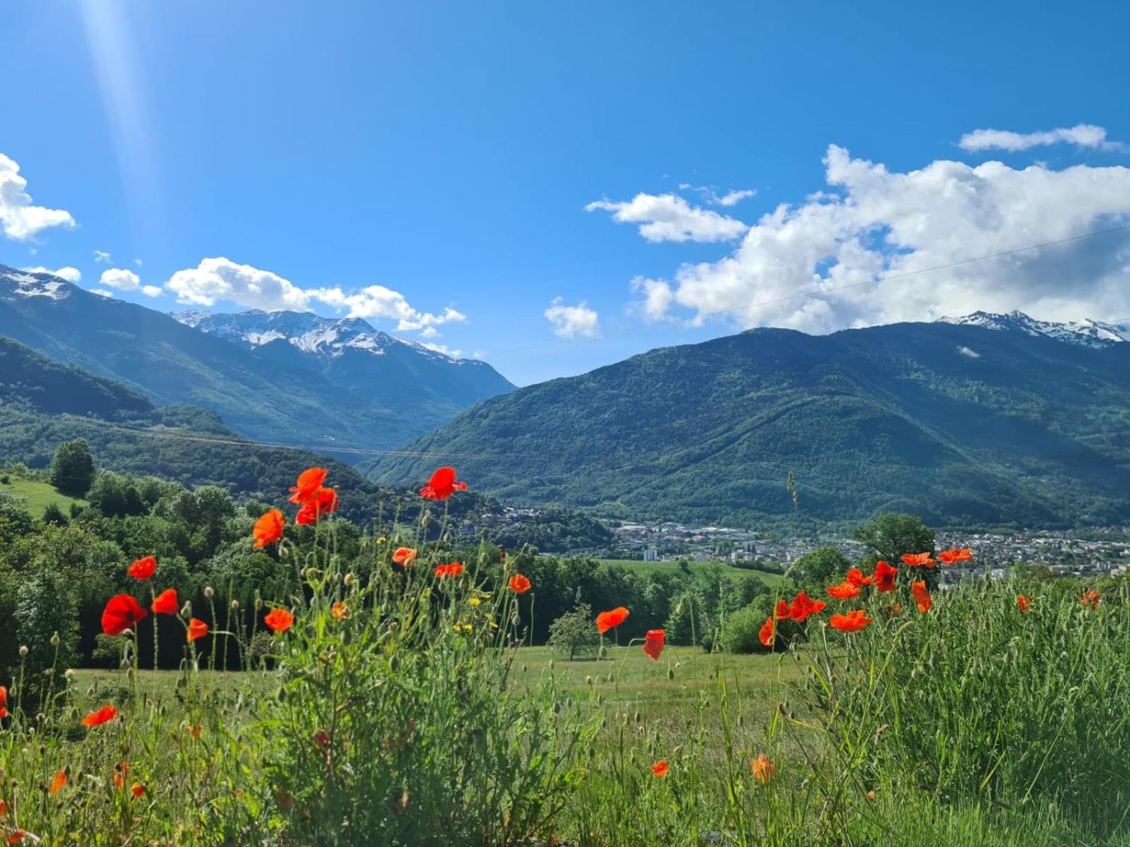 35M2 Hauts D'Albertville Terrasse Avec Vue Pallud Exterior photo